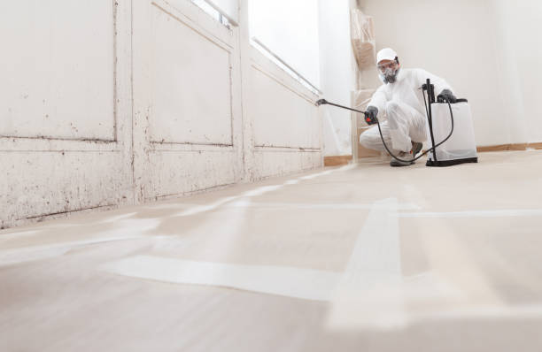 24/7 Emergency Attic Mold Removal experts in Dupont, PA
