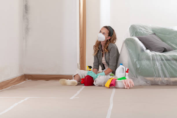 Reliable Mold Cleanup contractor in Dupont, PA by Cheap Mold Removal